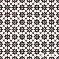 Gạch bông cổ điển CTS 3.1 7 Gạch bông cổ điển CTS 3.1