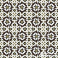 Gạch bông cổ điển CTS 56.1