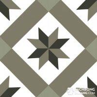 Gạch bông cổ điển CTS 12.1