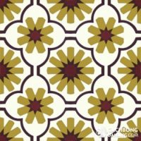 Gạch bông cổ điển CTS 16.6