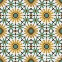 Gạch bông cổ điển CTS 19.3