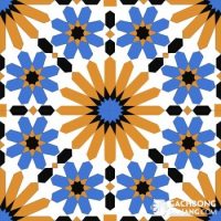 Gạch bông cổ điển CTS 19.7