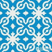 Gạch bông cổ điển CTS 22.2 6 Gạch bông cổ điển CTS 22.2