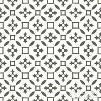 Gạch bông cổ điển CTS 36.1