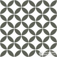 Gạch bông cổ điển CTS 6.3