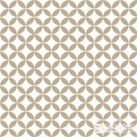 Gạch bông cổ điển CTS 6.5 7 Gạch bông cổ điển CTS 6.5