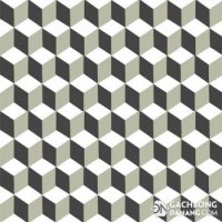 Gạch bông cổ điển CTS 9.1