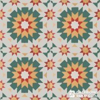 Gạch bông cổ điển CTS 56.3 6 Gạch bông cổ điển CTS 56.3