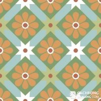 Gạch bông cổ điển CTS 62.1