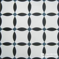 Gạch bông cổ điển CTS 65.1 6 Gạch bông cổ điển CTS 65.1