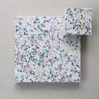 Gạch đá mài nội thất CTS-TEBS-10