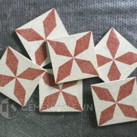 Gạch bông Terrazzo CTS TE-170.2(4-62) 11 Gạch bông CTS TE-170.2(4-62) - Encaustic cement tile CTS TE-170.2(4-62)