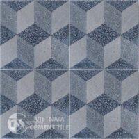 Encaustic Terrazzo tile CTS-Gạch bông Terrazzo